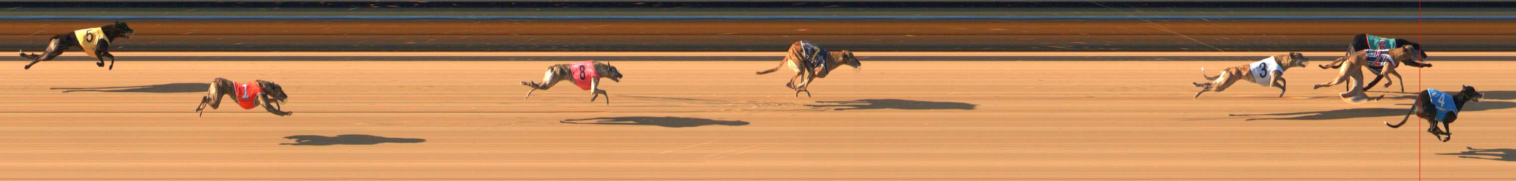 Photo finish for Bendigo Race 5