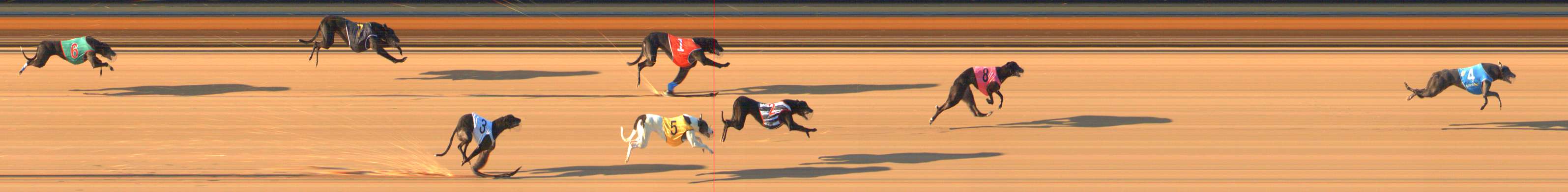 Photo finish for Bendigo Race 6