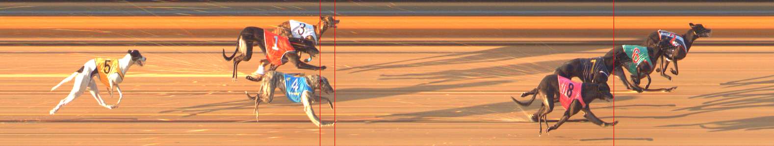 Photo finish for Bendigo Race 8
