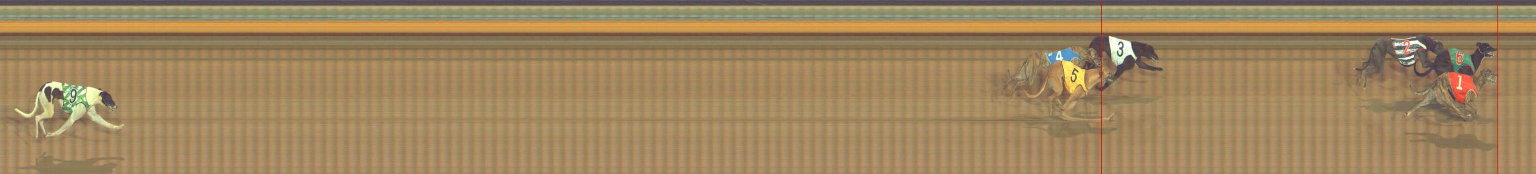 Photo finish for Bendigo Race 11