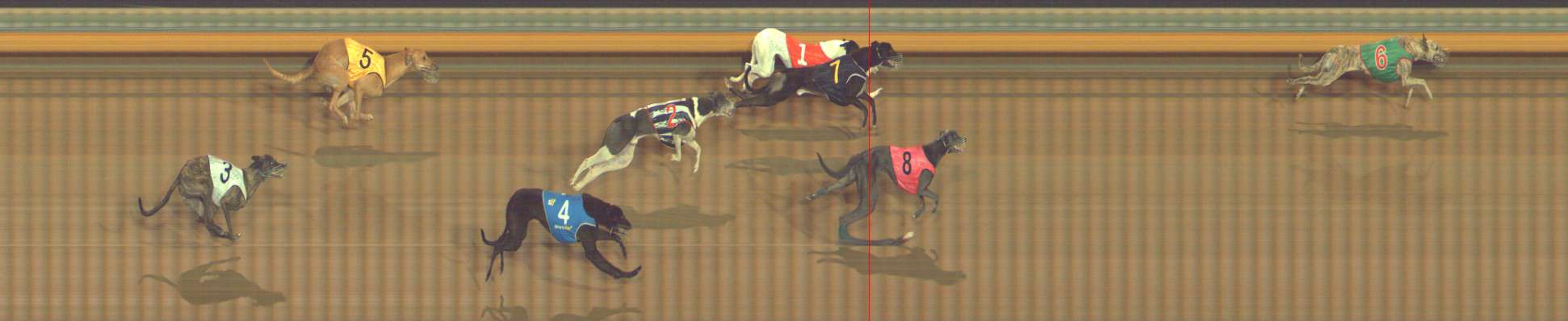 Photo finish for Bendigo Race 13