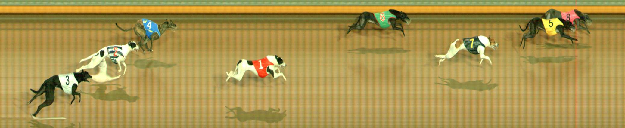 Photo finish for Bendigo Race 1