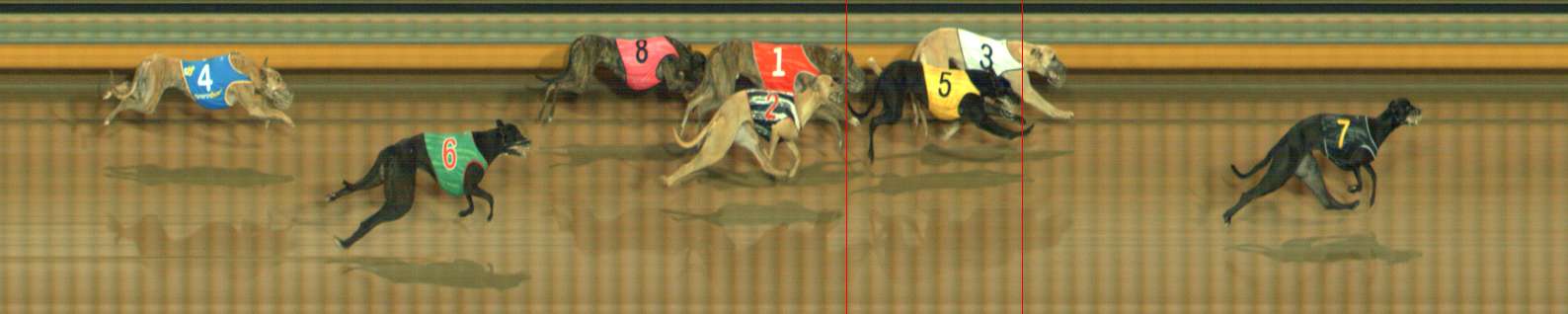 Photo finish for Bendigo Race 2
