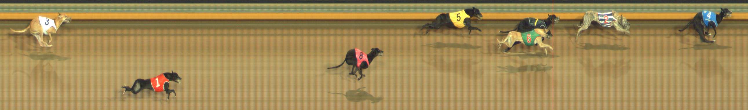 Photo finish for Bendigo Race 3