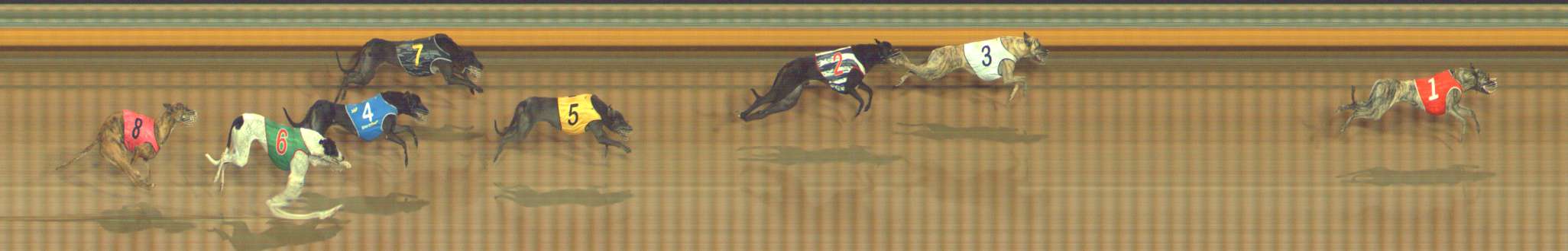 Photo finish for Bendigo Race 5