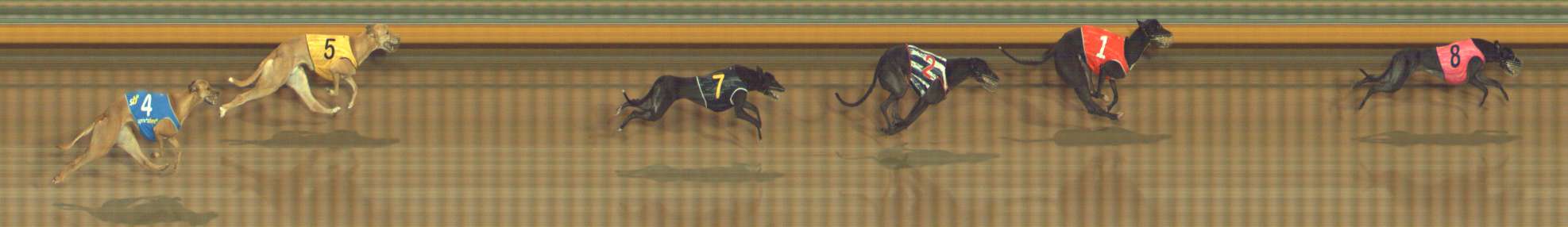 Photo finish for Bendigo Race 6