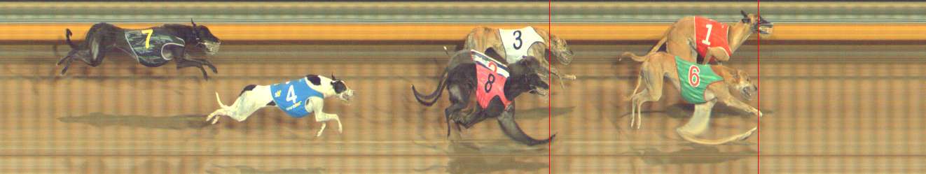 Photo finish for Bendigo Race 7