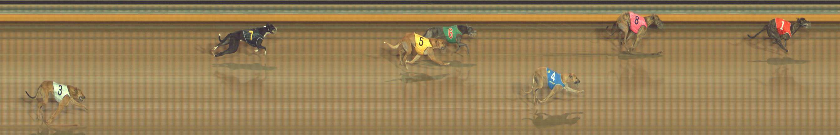 Photo finish for Bendigo Race 9