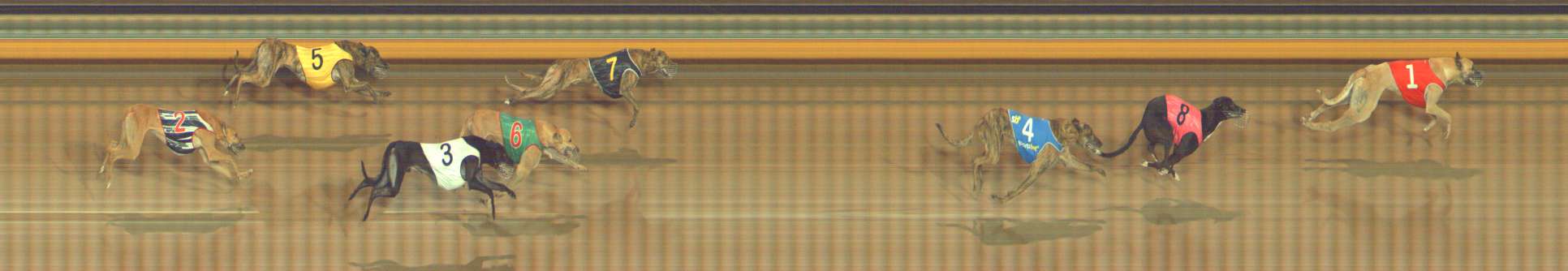 Photo finish for Bendigo Race 10