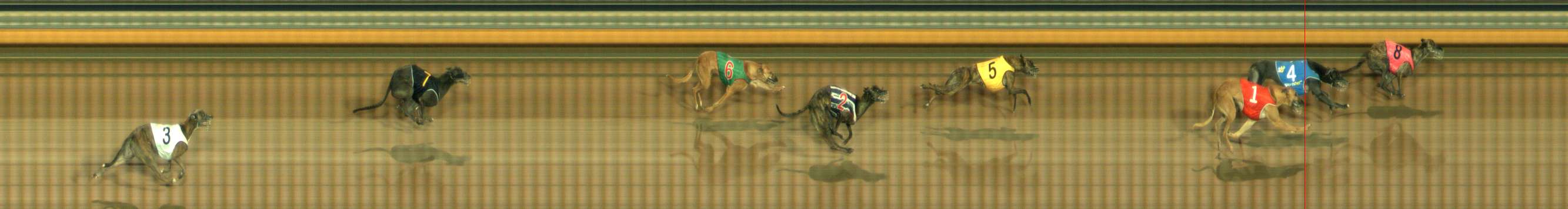 Photo finish for Bendigo Race 2