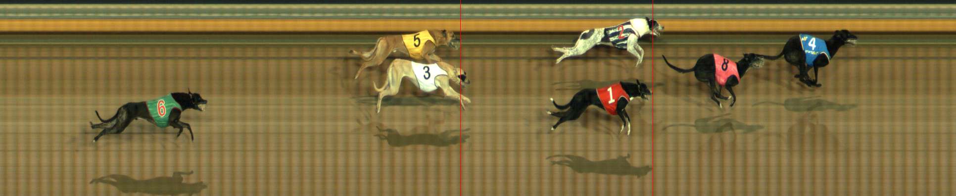 Photo finish for Bendigo Race 3