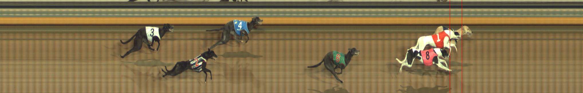 Photo finish for Bendigo Race 5