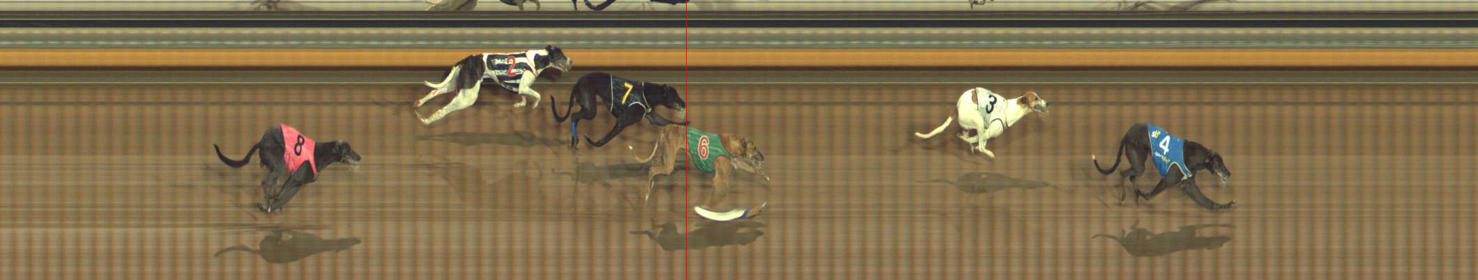 Photo finish for Bendigo Race 8