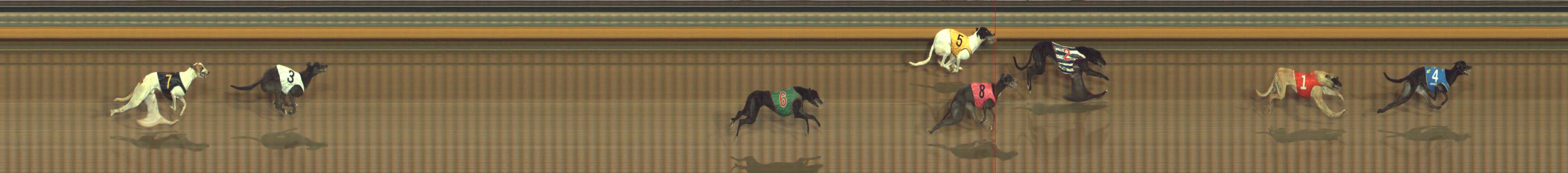 Photo finish for Bendigo Race 9