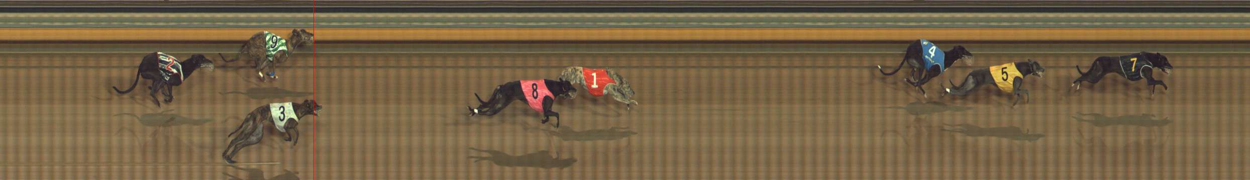 Photo finish for Bendigo Race 10