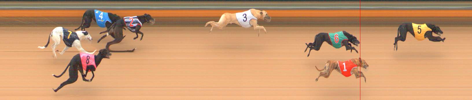 Photo finish for Bendigo Race 1
