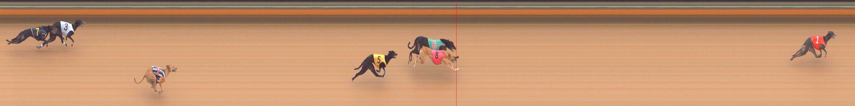 Photo finish for Bendigo Race 3