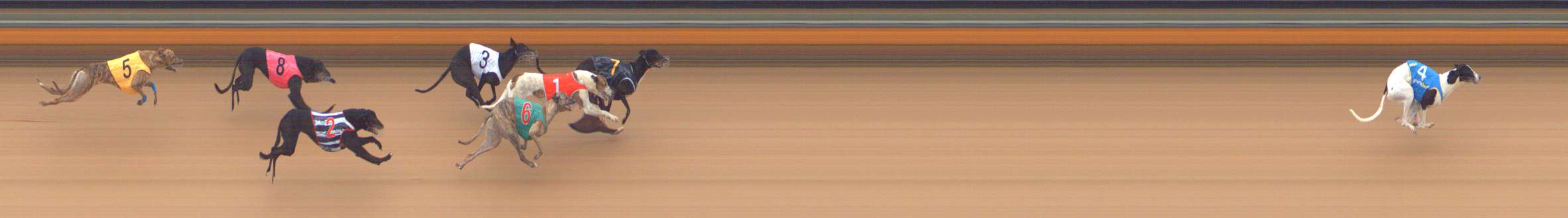 Photo finish for Bendigo Race 4
