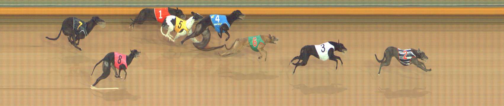 Photo finish for Bendigo Race 5