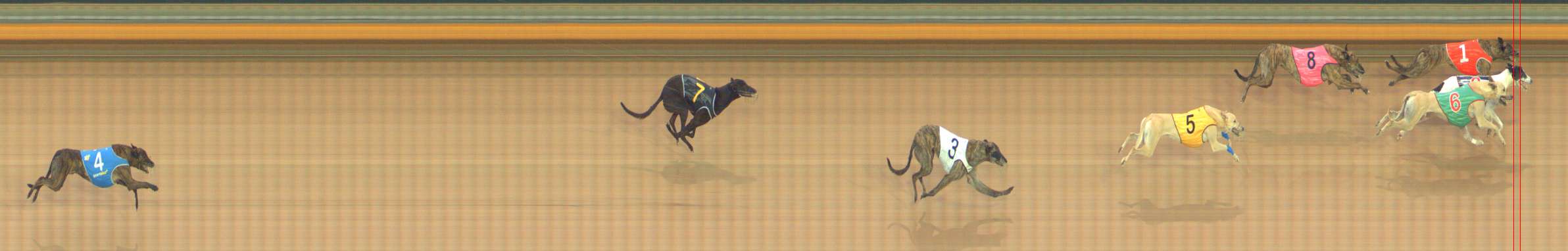 Photo finish for Bendigo Race 6