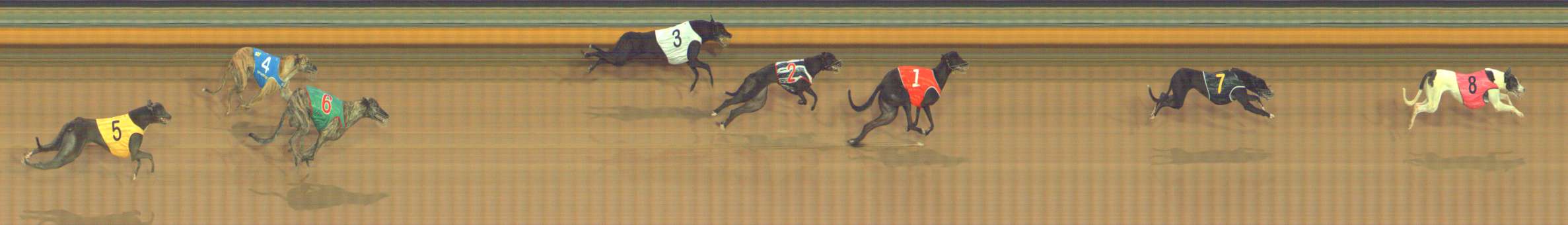 Photo finish for Bendigo Race 7