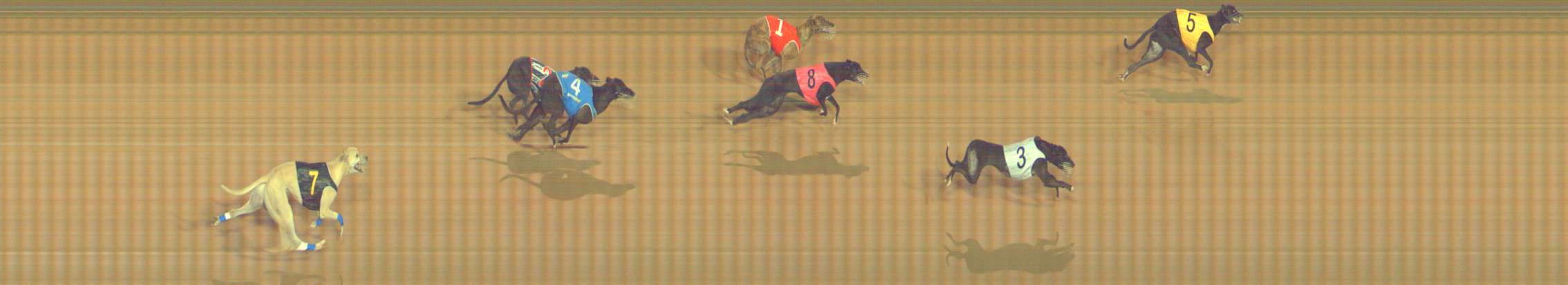 Photo finish for Bendigo Race 11