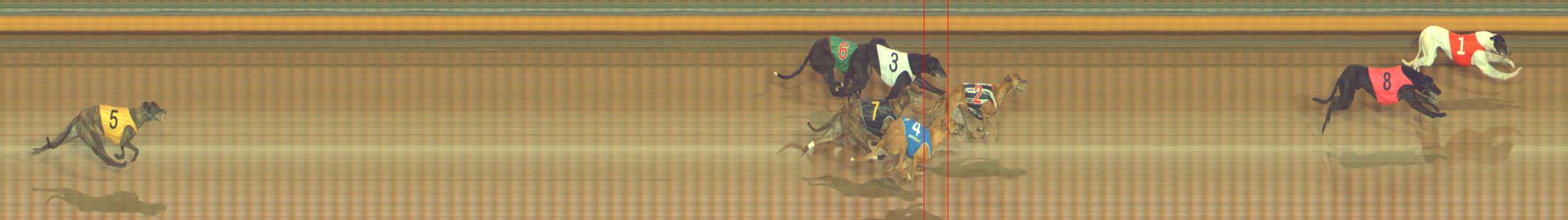Photo finish for Bendigo Race 12