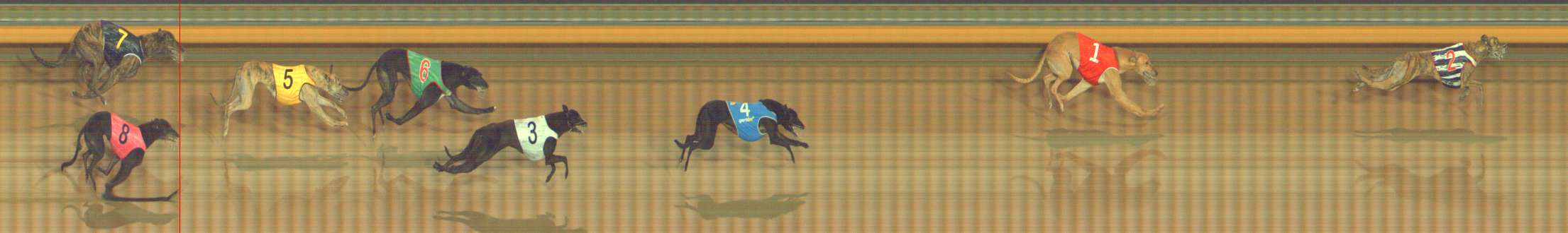 Photo finish for Bendigo Race 13