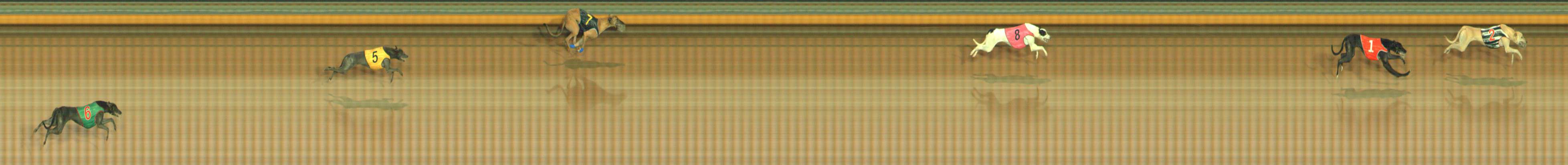 Photo finish for Bendigo Race 1
