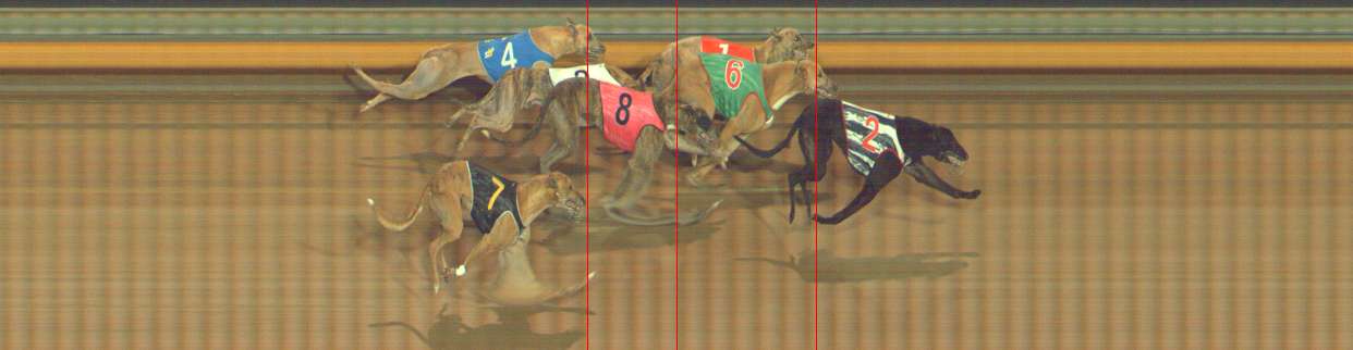 Photo finish for Bendigo Race 6