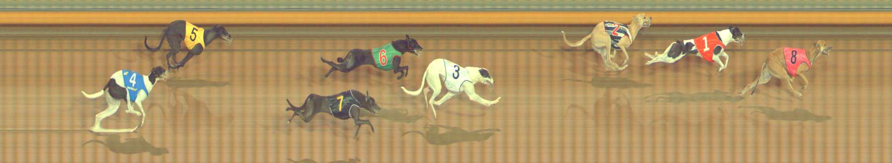 Photo finish for Bendigo Race 8
