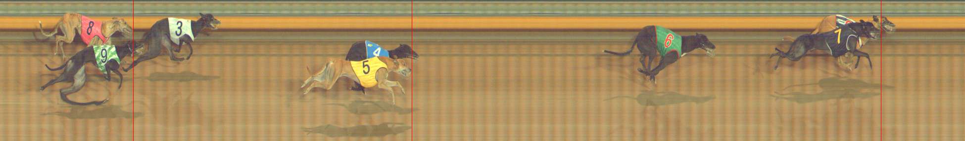 Photo finish for Bendigo Race 9