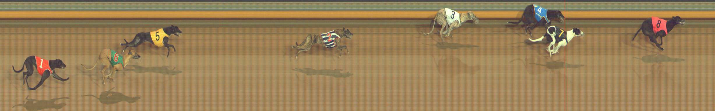 Photo finish for Bendigo Race 10