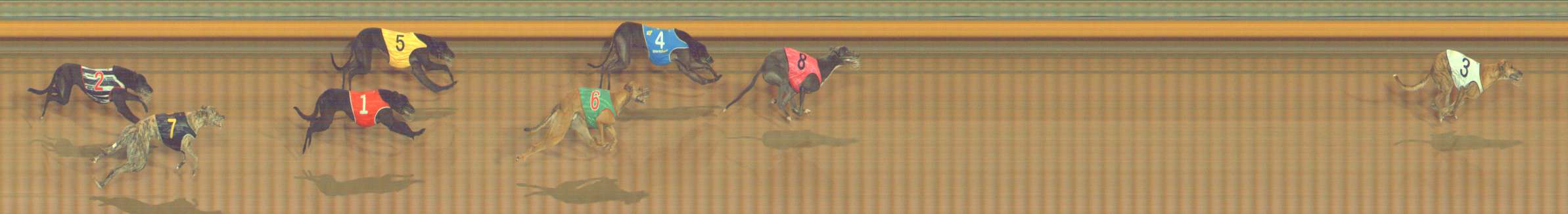 Photo finish for Bendigo Race 11