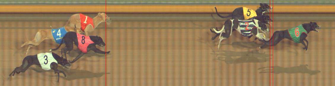 Photo finish for Bendigo Race 12