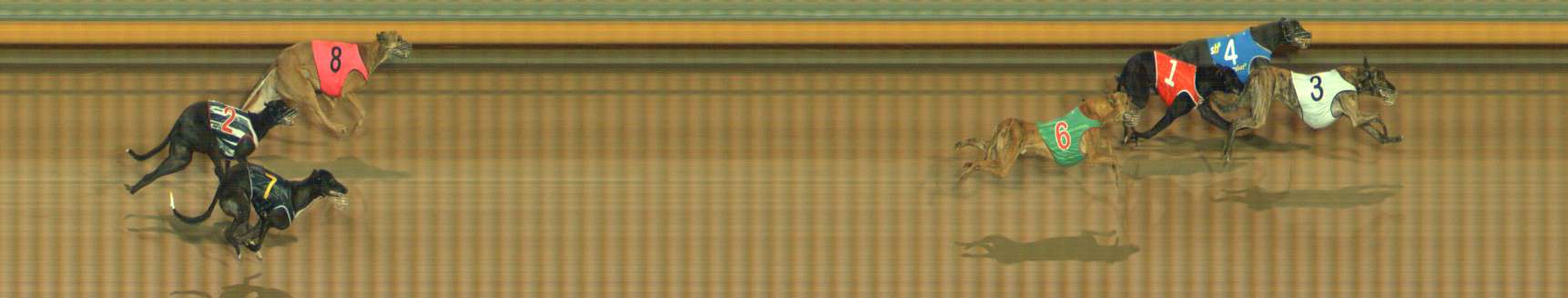 Photo finish for Bendigo Race 1
