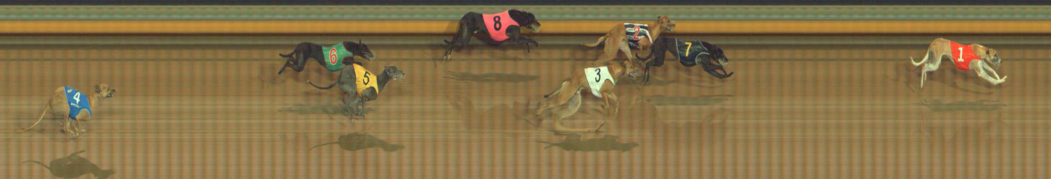 Photo finish for Bendigo Race 2