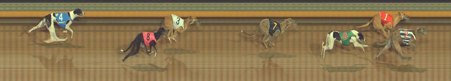 Photo finish for Bendigo Race 3