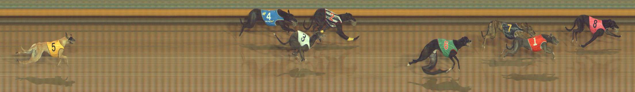 Photo finish for Bendigo Race 4