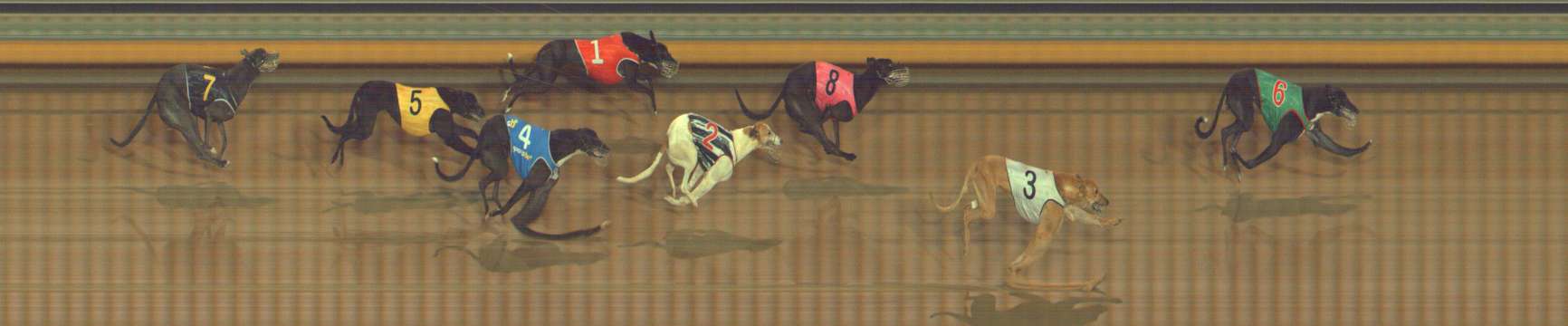 Photo finish for Bendigo Race 5