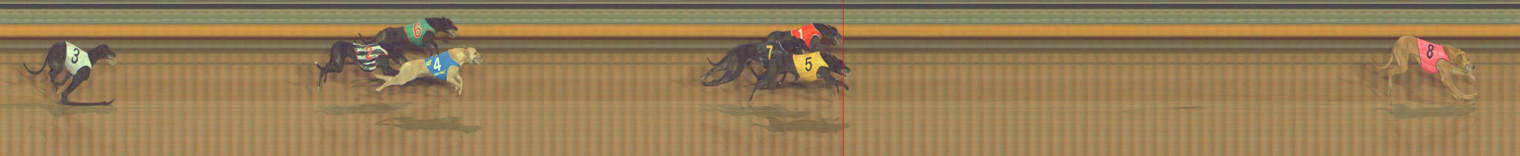 Photo finish for Bendigo Race 7