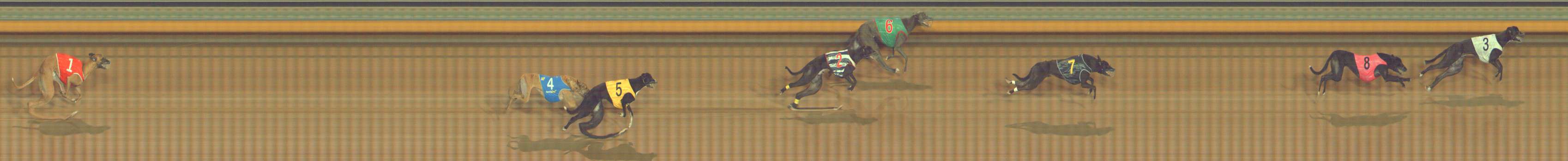 Photo finish for Bendigo Race 8