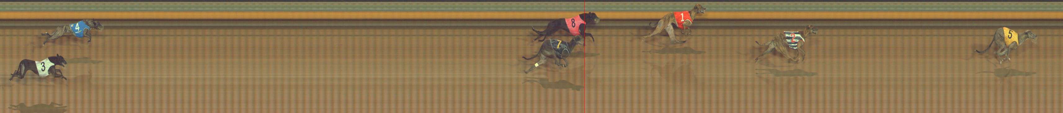 Photo finish for Bendigo Race 10