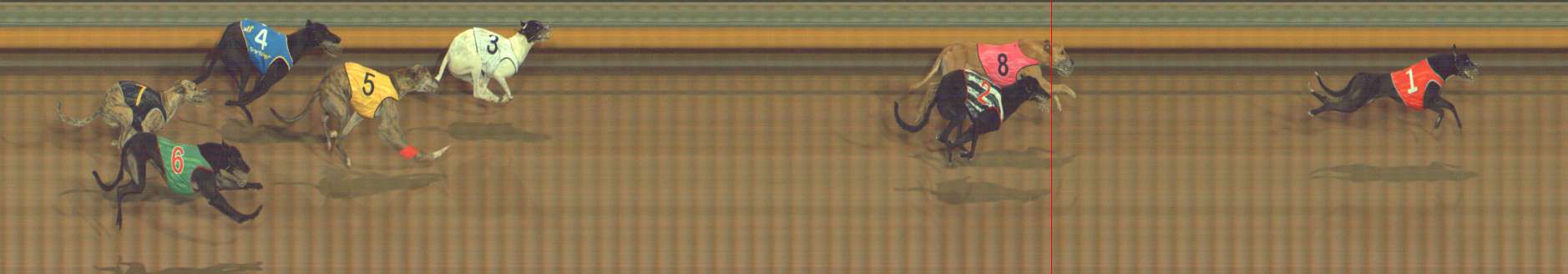 Photo finish for Bendigo Race 11