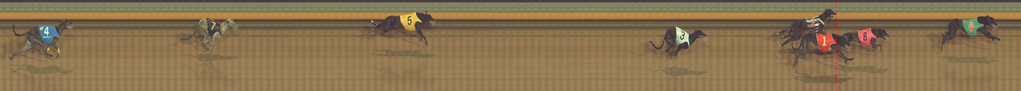 Photo finish for Bendigo Race 12