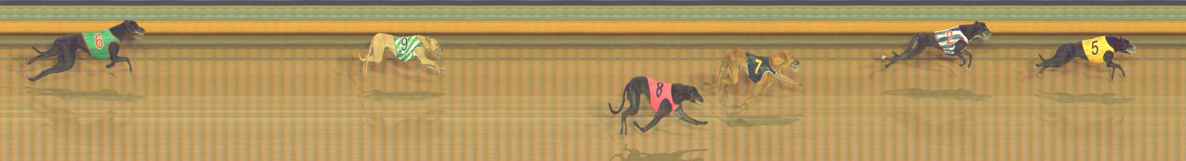 Photo finish for Bendigo Race 2