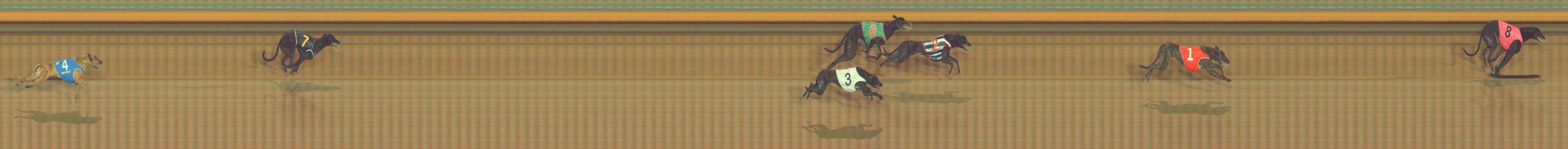 Photo finish for Bendigo Race 3