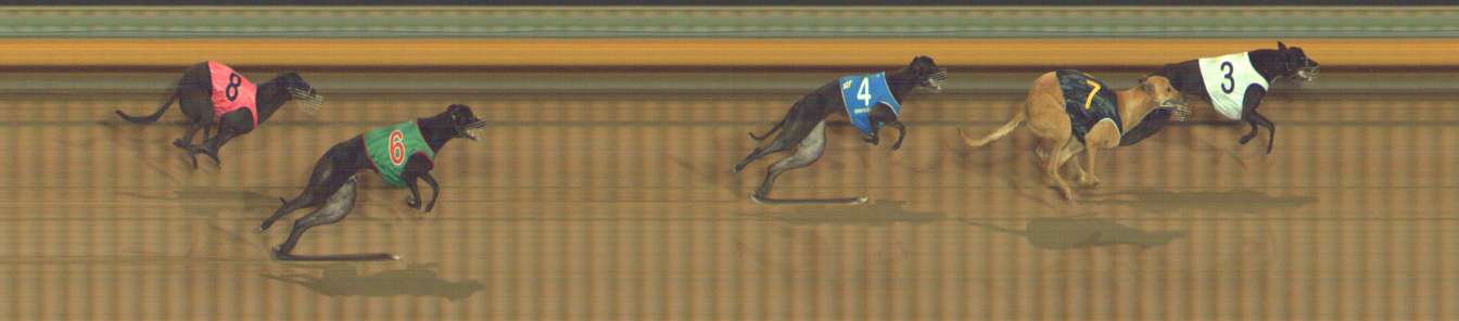 Photo finish for Bendigo Race 4
