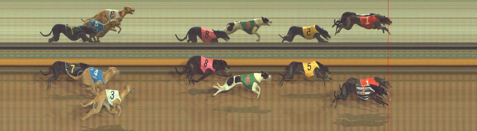 Photo finish for Bendigo Race 5