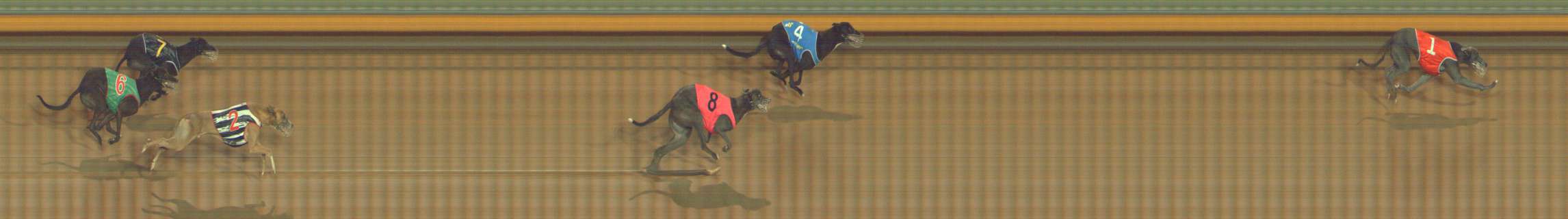 Photo finish for Bendigo Race 8